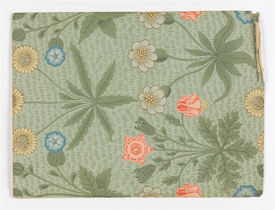 Page From Sample Book, Morris and Co., 1887 (CH 102200457)