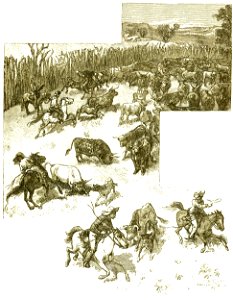 Page 401 Boy Travellers Australasia