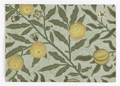 Page From Sample Book, Morris and Co., 1887 (CH 102200343)