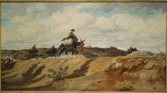 Nîmes,Beaux Arts073
