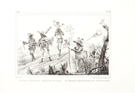 Nègres chasseurs rentrant en ville, da Coleção Brasiliana Iconográfica