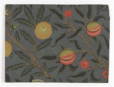 Page From Sample Book, Morris and Co., 1887 (CH 102200455)
