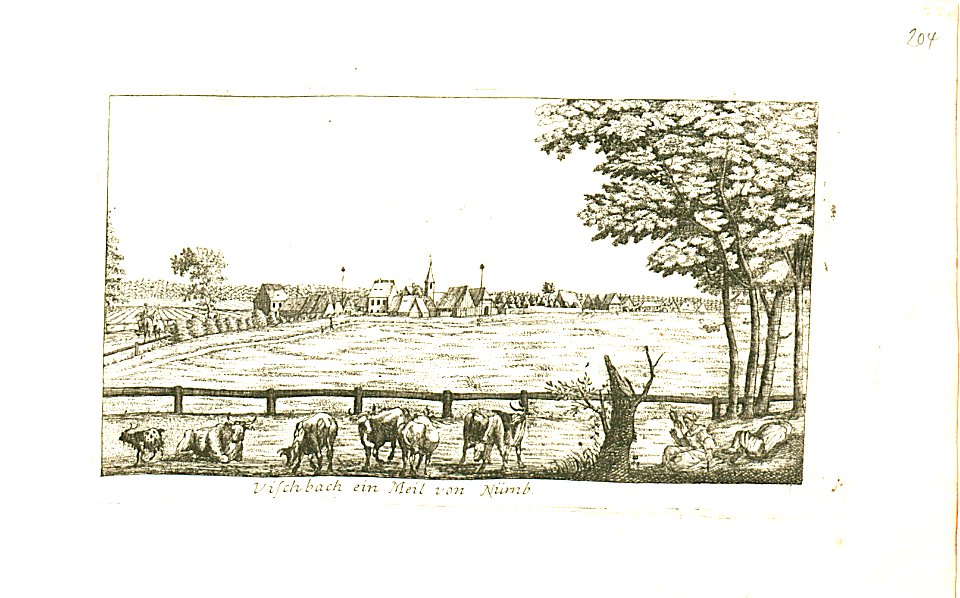 Nürnberger Zierde - Böner - 204 - Vischbach