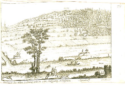 Nürnberger Zierde - Böner - 224 - Prospect der Alten Vestung