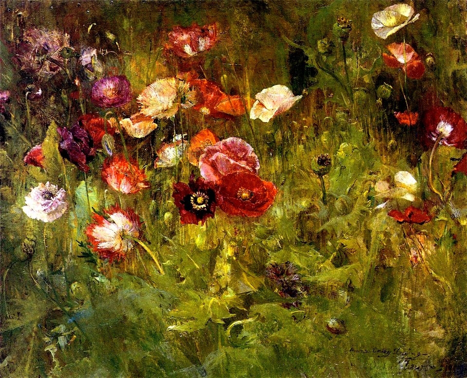 A Bed of Poppies-Maria Oakey Dewing