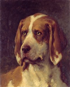 O. Eerelman - Kop van een hond - AB6867 - Cultural Heritage Agency of the Netherlands Art Collection