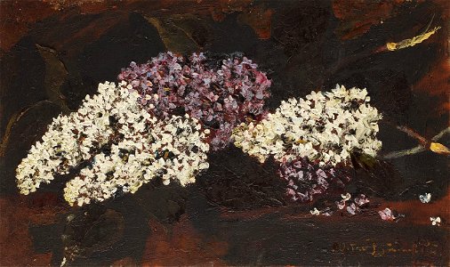 Octav Bancila - Buchet de liliac (1)
