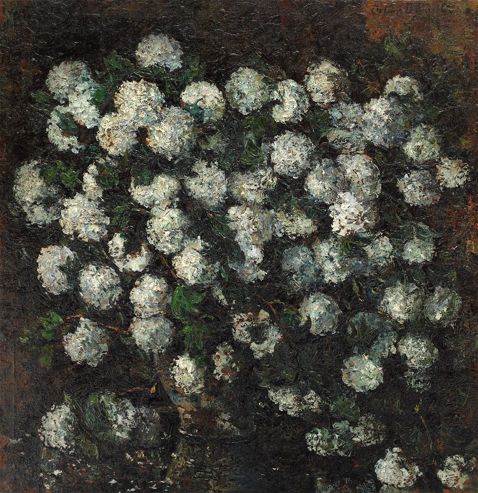 Octav Bancila - Boule-de-neige