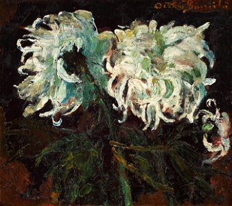 Octav Bancila - Dalii albe