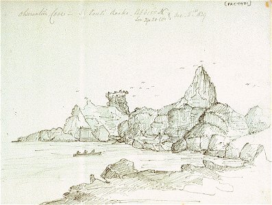 Observation Cove - St. Paul's docks Lat 0o- 5'5N Lon- 29- 20W Dec- 2nd.1839 RMG PV9971