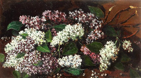 Octav Bancila - Crengute de liliac
