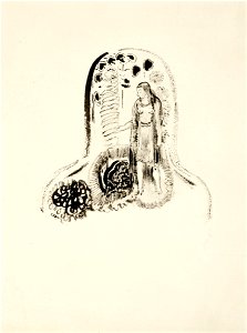Odilon Redon - Jeune Fille dans un Jardin de Fleurs - Google Art Project