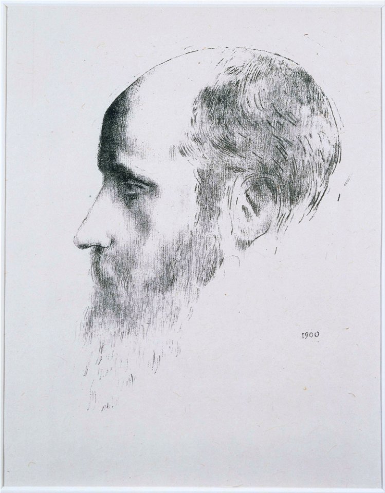 Odilon Redon - Portrait of Vuillard (Artist's Proof) - Google Art Project