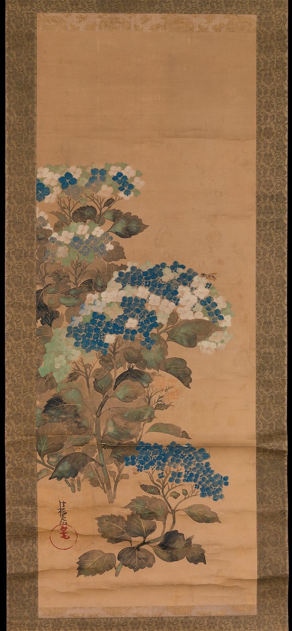 Ogata Kōrin - Hydrangeas - 36.100.49 - Metropolitan Museum of Art