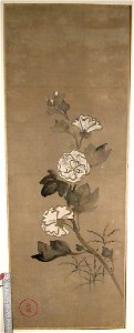 Ogata Kōrin - Blossoming Trees - 08.148.1 - Metropolitan Museum of Art