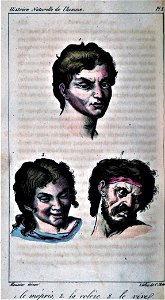 Oeuvre Buffon 2