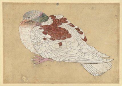 Ogawa Haritsu (Ritsuō) - Bird - 29.100.945 - Metropolitan Museum of Art