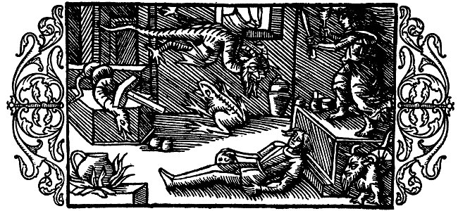 Olaus Magnus - On Magic Utensils in Bothnia