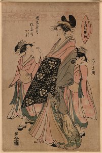 Okamotoya uchi sayagata LCCN2008660894