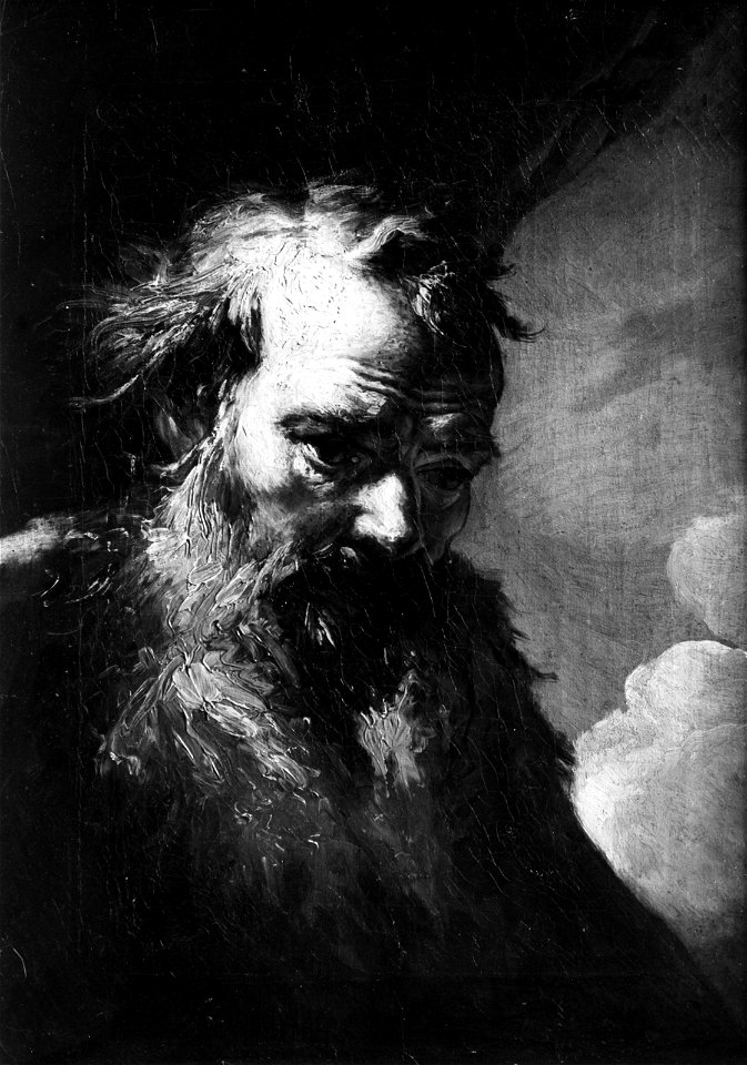 Old Man with Bushy Beard (Peter Brandel) - Nationalmuseum - 17202