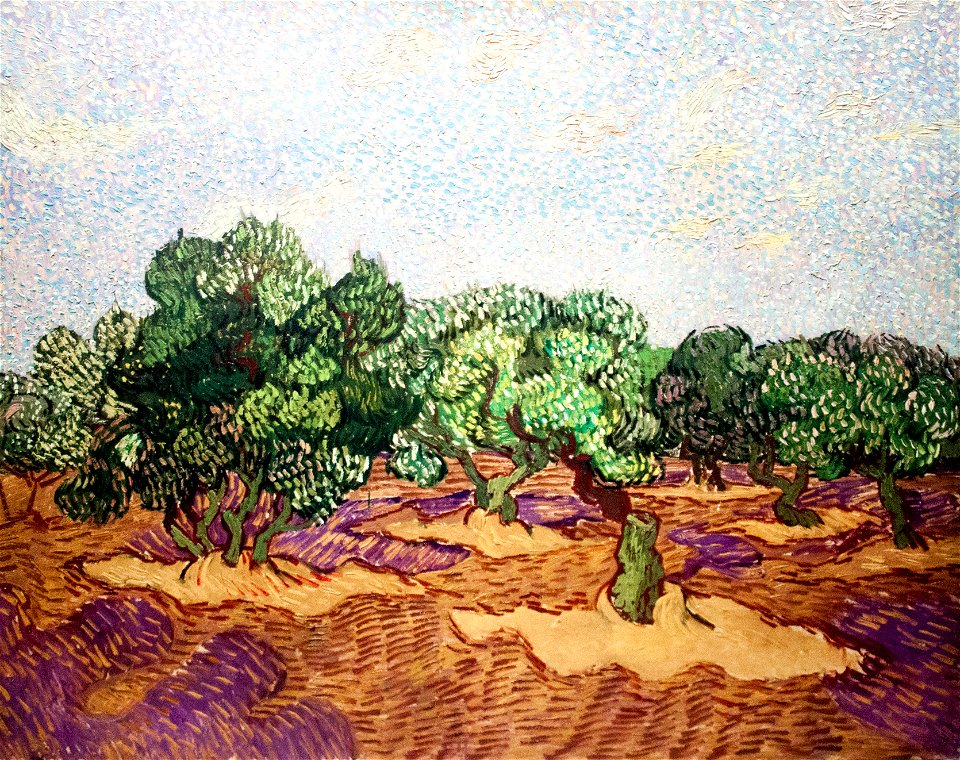 Olive Grove, Pale Blue Sky (JH 1855) - My Dream