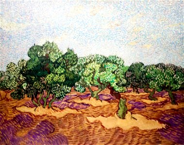 Olive Grove, Pale Blue Sky (JH 1855) - My Dream