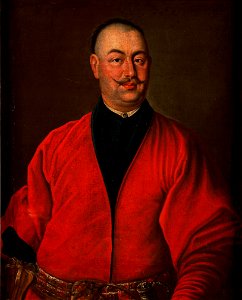 Olesiński - Portret Seweryna Józefa Rzewuskiego