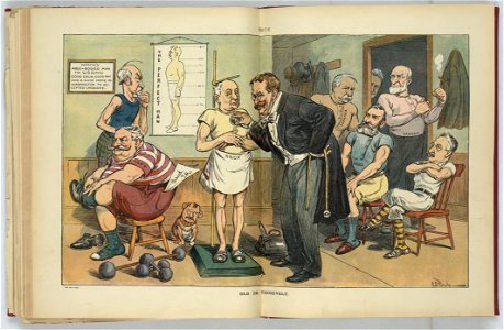 Old Dr. Roosevelt - J.S. Pughe. LCCN2011647217