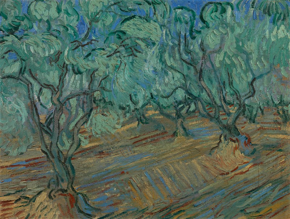Olijfgaard - s0044V1962 - Van Gogh Museum