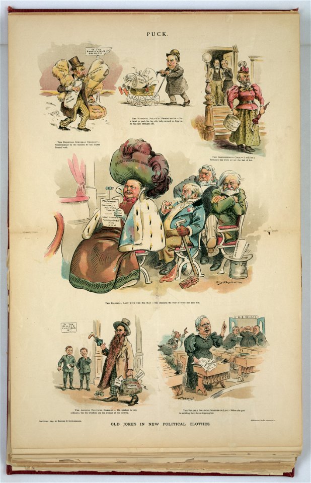 Old jokes in new political clothes - C.J. Taylor ; F. Opper. LCCN2012648694