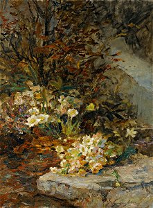 Olga Wisinger-Florian - Schneerosen