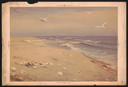 On the beach - F. Bridges 1879 ; after Miss F. Bridges, original in the possession of the publishers. LCCN2017650237