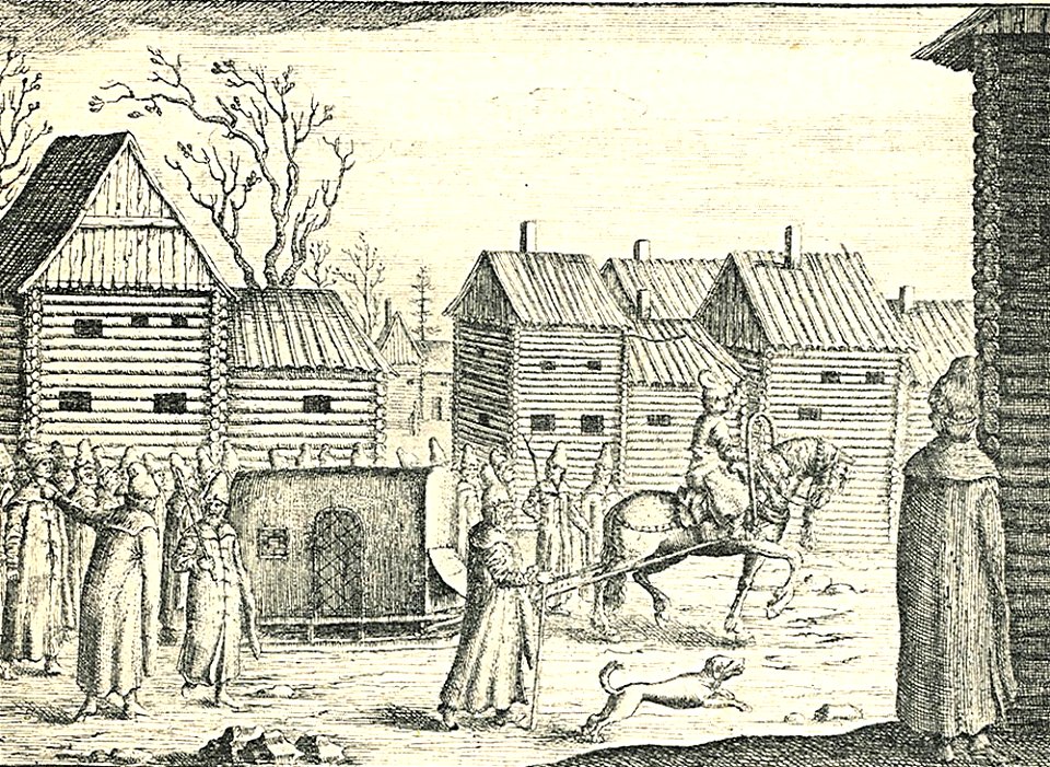 Olearius sani