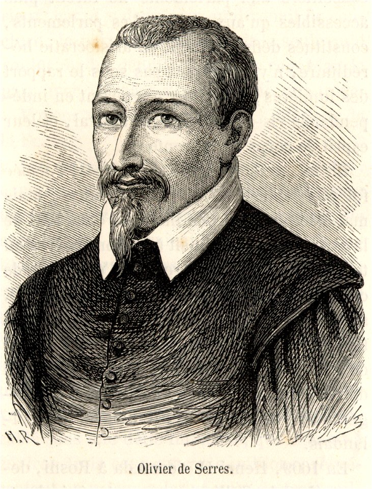 Olivier-de-serre 29499837995 o
