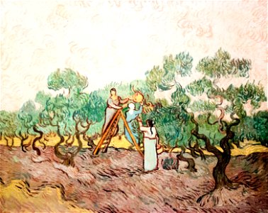 Olive Picking (JH 1869) - My Dream