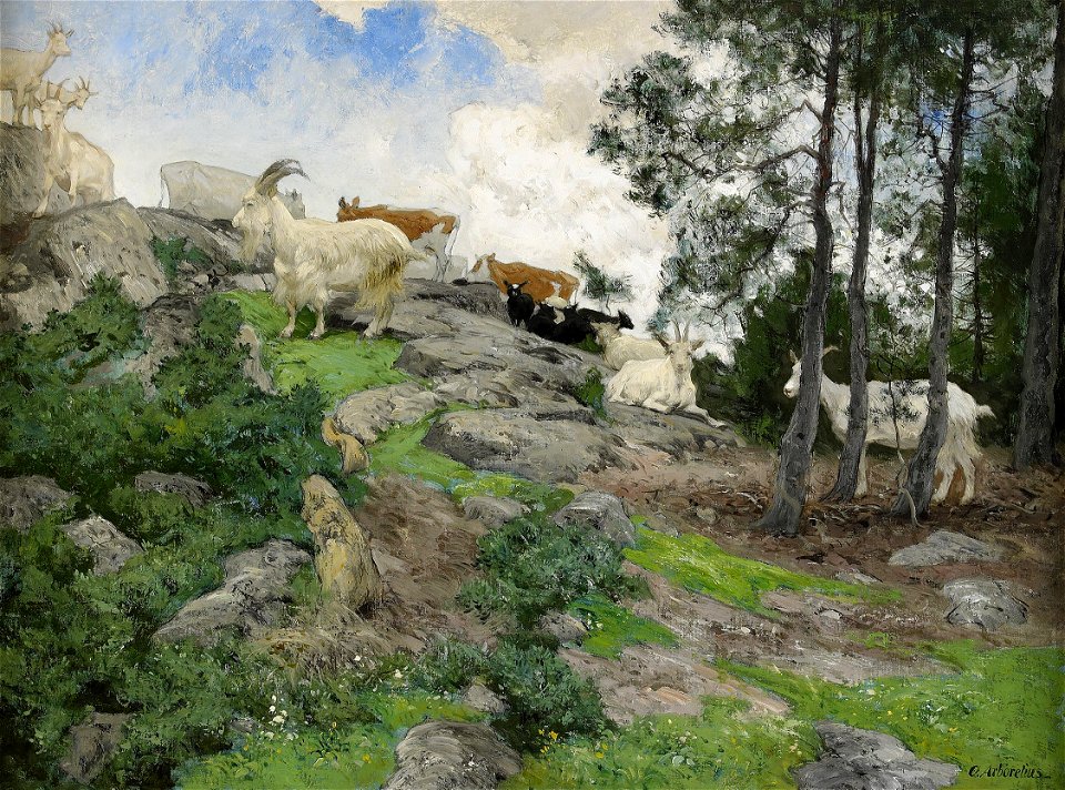 Olof Arborelius - Getter på grönbete