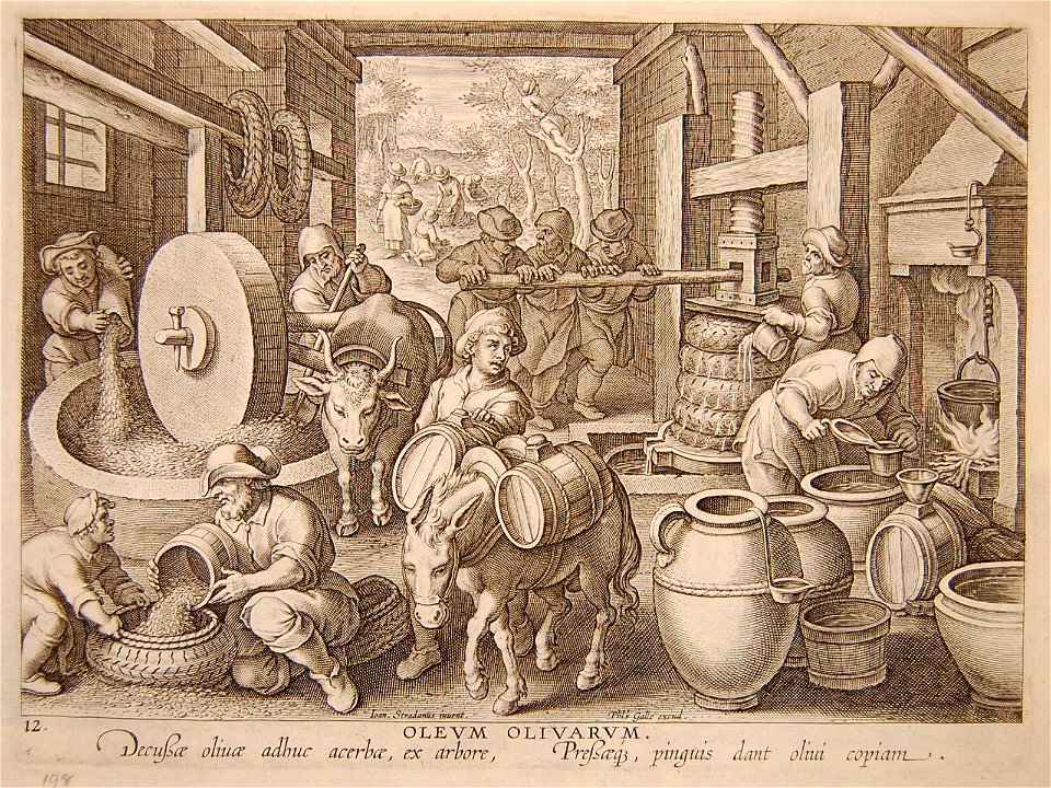 Oleum Olivarum (BM 1948,0410.4.202)