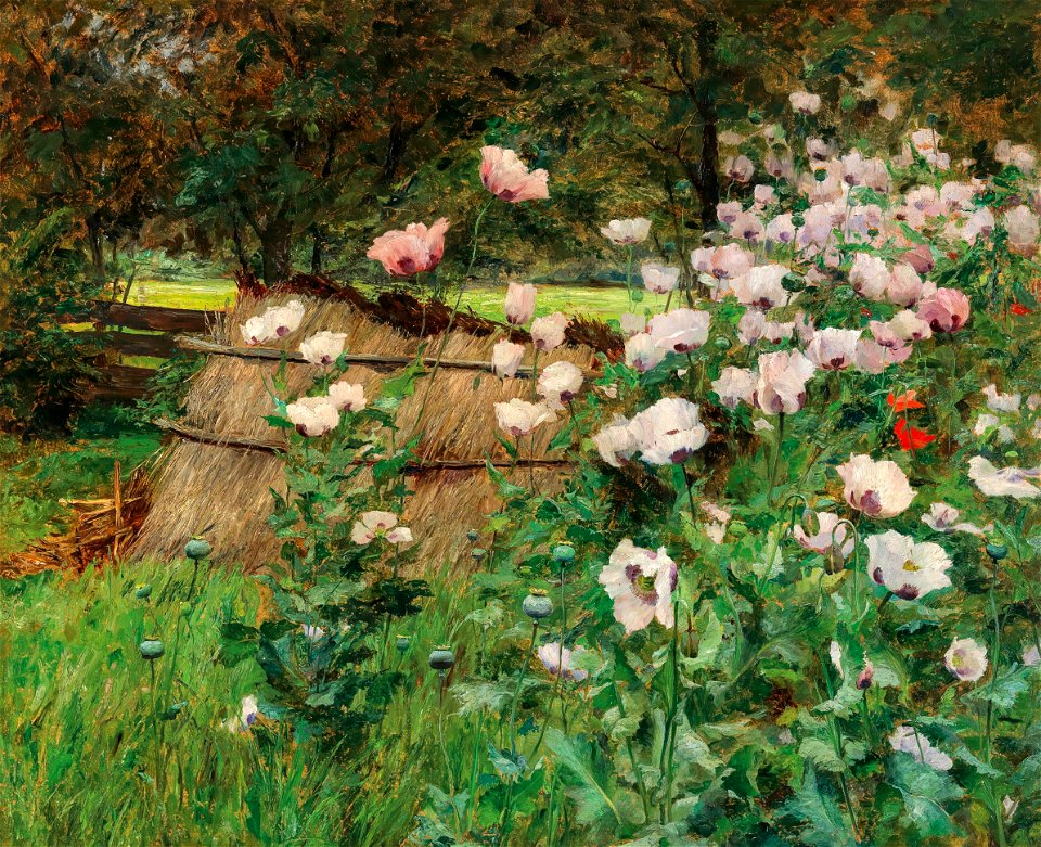 Olga Wisinger-Florian Im Bauerngarten
