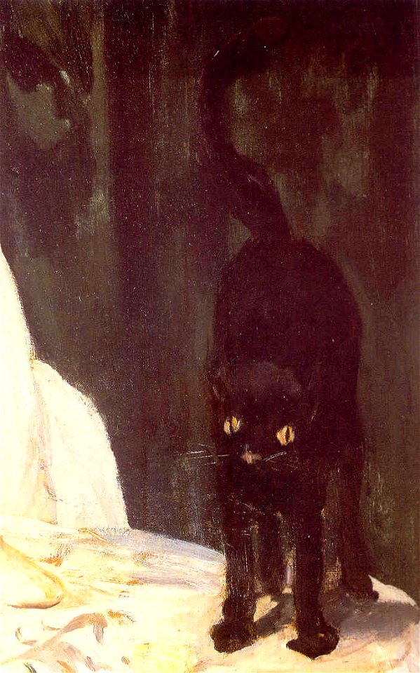 Olympia manet cat detail