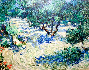 Olive Grove (JH 1759) - My Dream