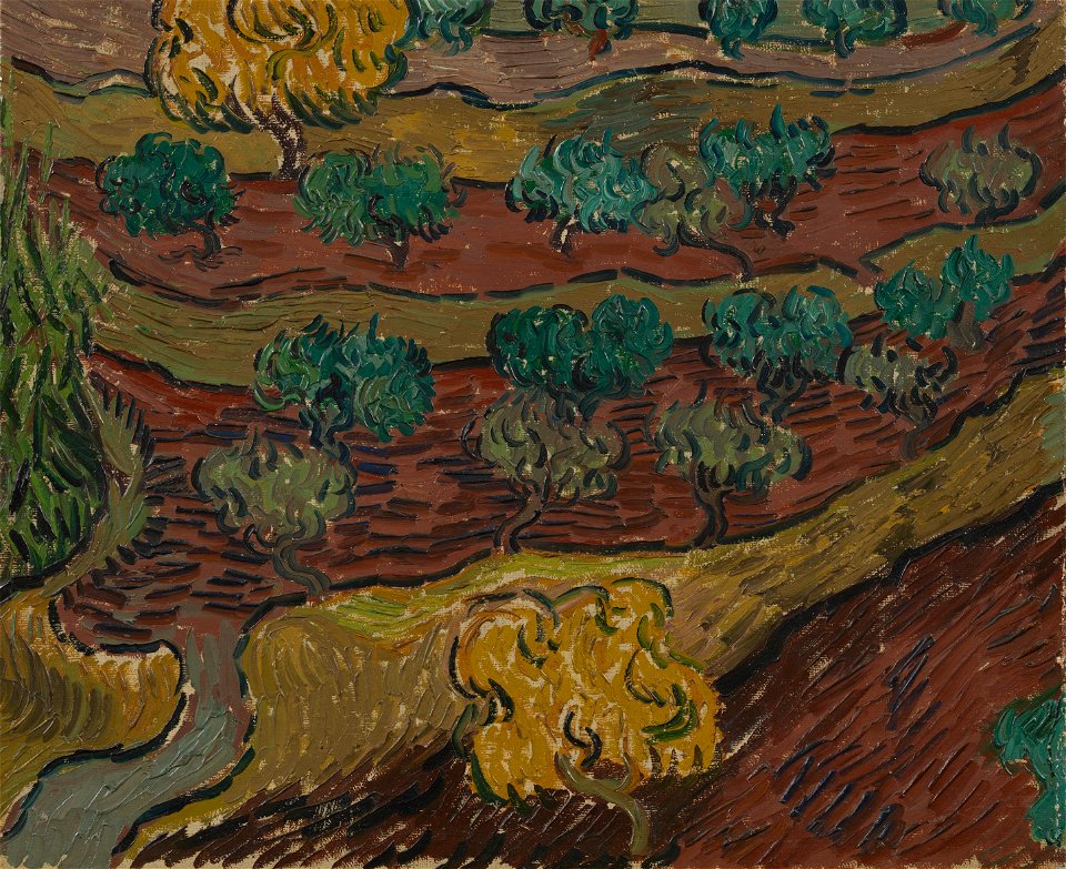 Olijfbomen op een berghelling - s0148V1962 - Van Gogh Museum