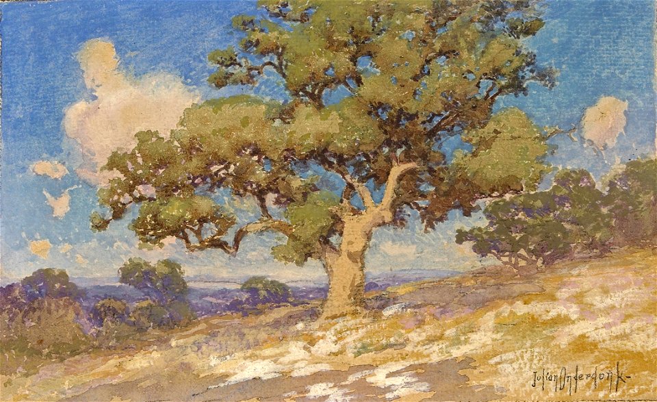 Julian Onderdonk - High Desert Oaks