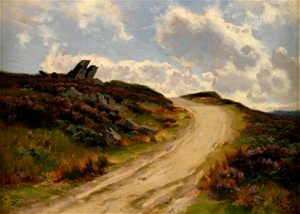 On the Denbigh Moors (gcf10332)