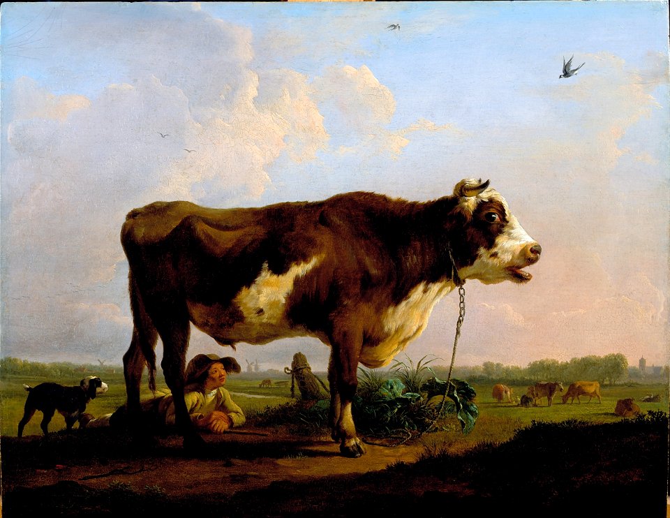 Ommeganck, Balthazar Paul - A Bull - Google Art Project