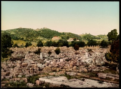 Olympie. Temple de Zeus LCCN2017658128