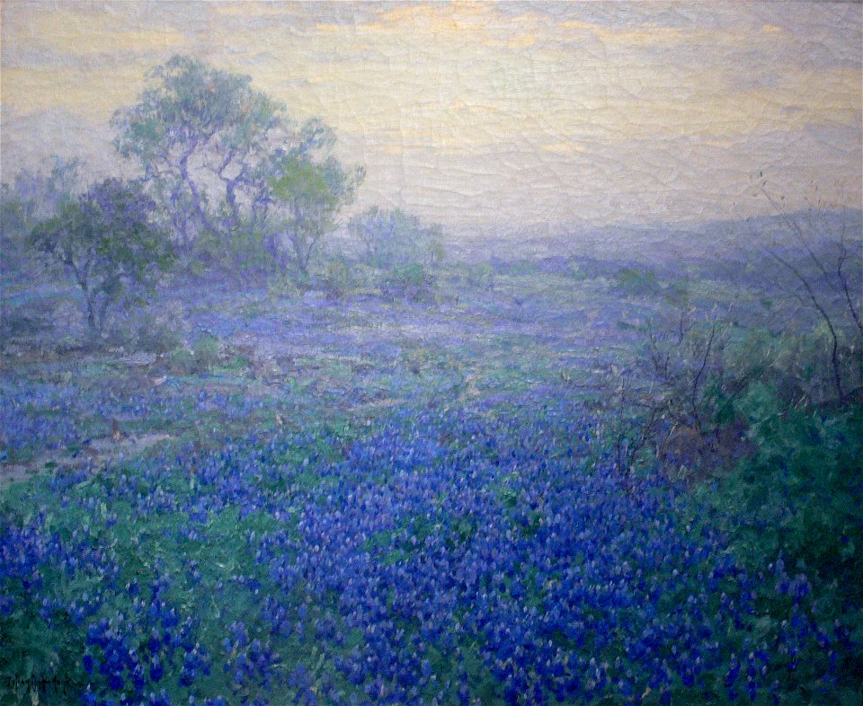 Julian Onderdonk A Cloudy Day Bluebonnets near San Antonio Amon Carter Museum
