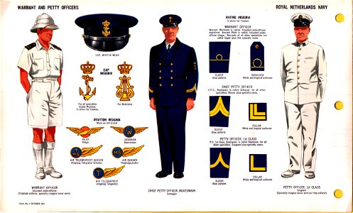 ONI JAN 1 Uniforms and Insignia Page 102 Royal Netherlands Navy WW2 Warrant and petty officers October 1943 Field recognition. US public doc. No known copyright. Free illustration for personal and commercial use.