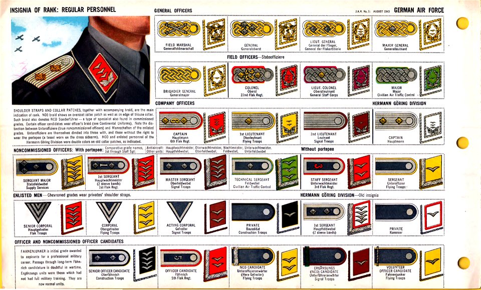 ONI JAN 1 Uniforms and Insignia Page 036 German Air Force Luftwaffe WW2 Insignia of rank Regular personnel August 1943 Field recognition. US public doc. No known copyright