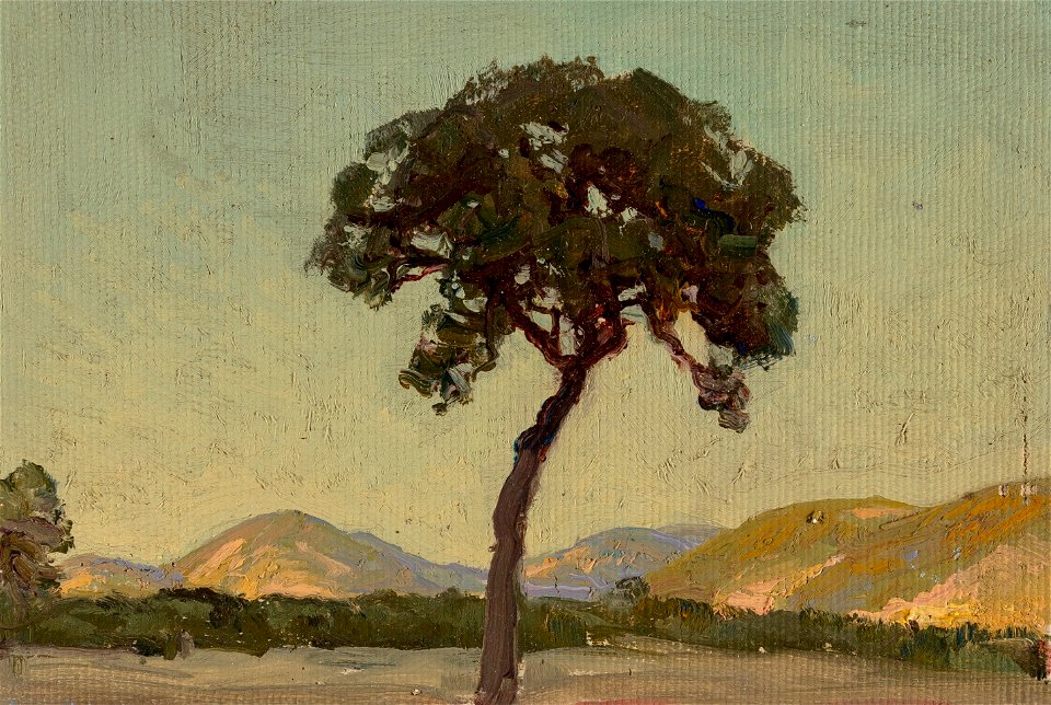 Late Afternoon Williams Ranch by Julian Onderdonk, 1915
