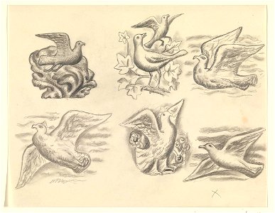 Ontwerpen voor een watermerk van een bankbiljet- zes ontwerpen met vogels
